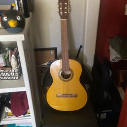 Acoustic Guitar 