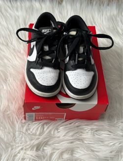 Toddler Nike Dunk Low