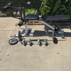 Yukon Weight Bench & 100lb Weights 