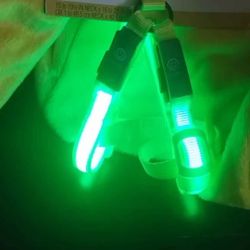 New Led Small Dog Harness $15