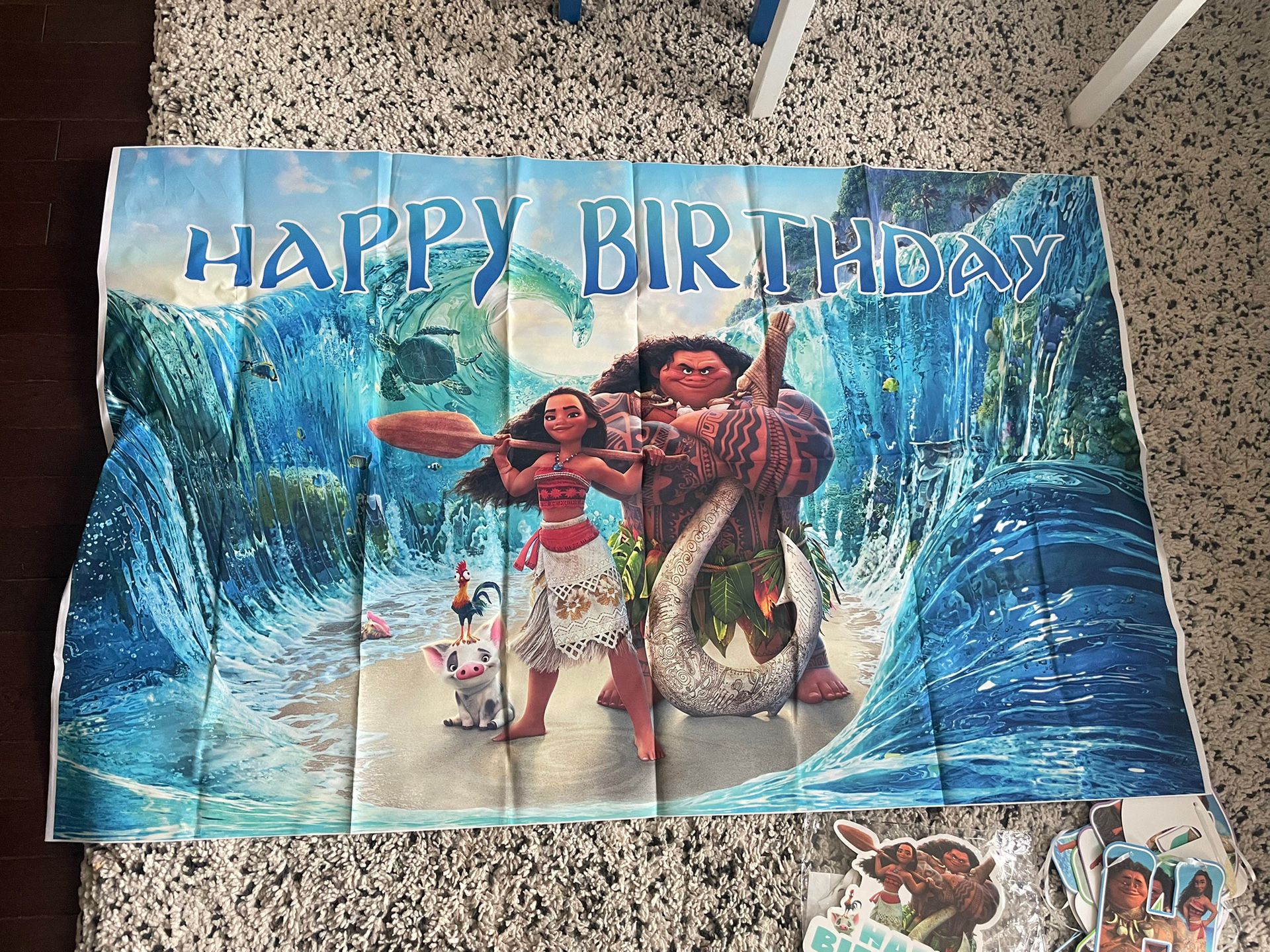 Moana Themed Birthday Party Supplies 