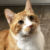 Camilo