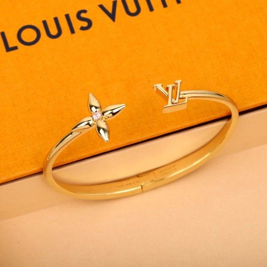 ✨Louis Vuitton