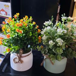 Four Little Plants 