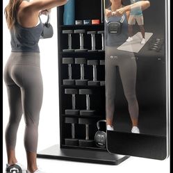 Complete Combo Gym Peloton Bike And NordicTrack  Vault 