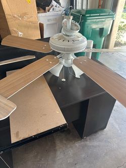 Ceiling fan