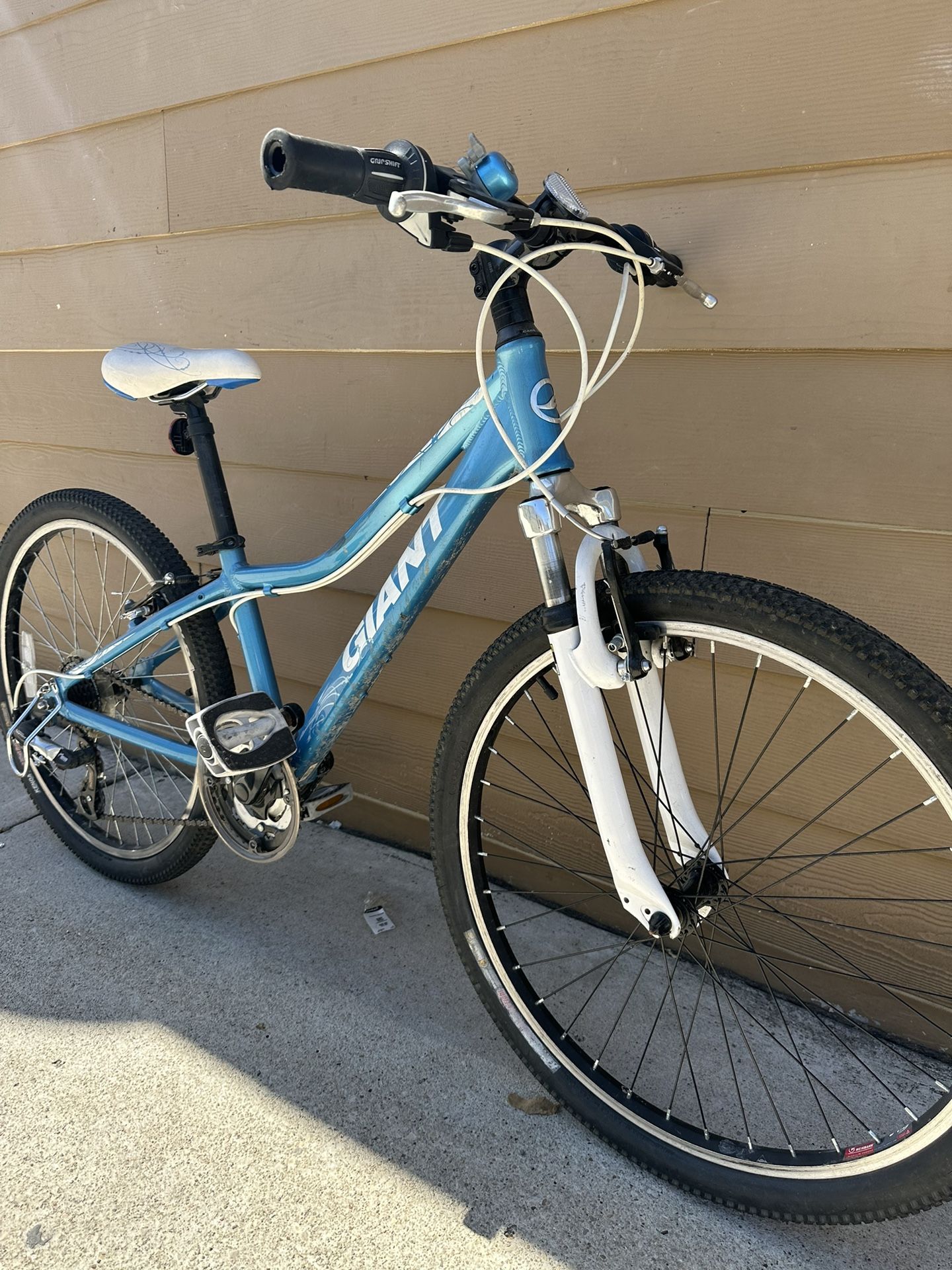 Aluminum Bike Giant Sz 24