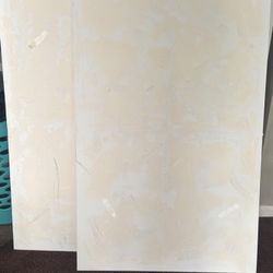 2 Large 48x30 Canvas 