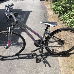 Girls Schwinn 