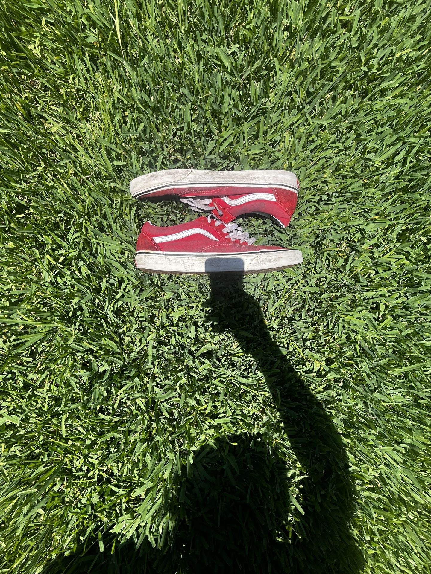 Vans Size 11