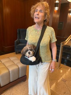 Pet fabric carrier. Black sling. Hands free