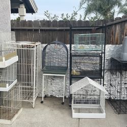 Bird Cages 