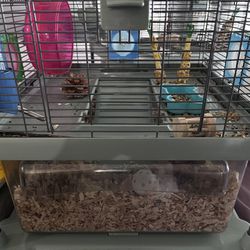 Hamster Cage With Hamster