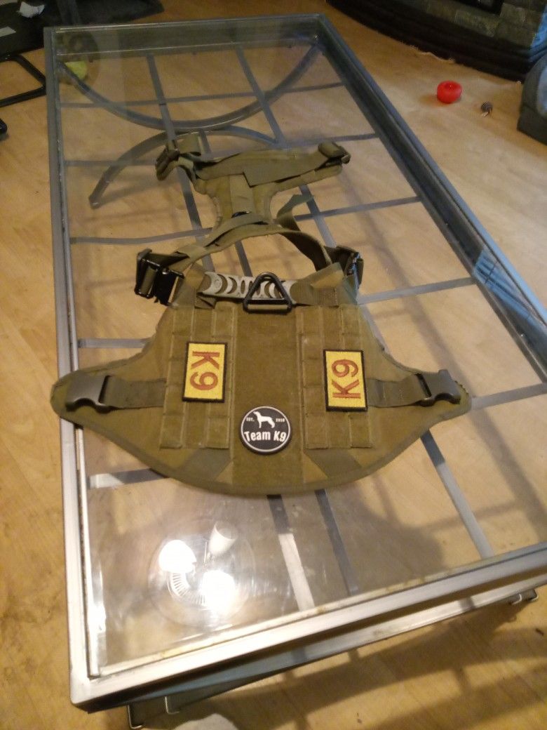 Dog Harness