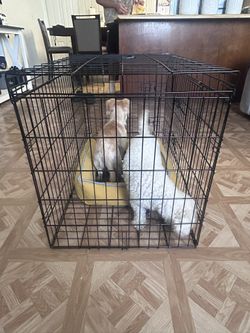 Foldable Dog Cage
