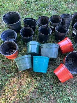 Nursery containers 10, two gallons and 24  six inches tall 1/4