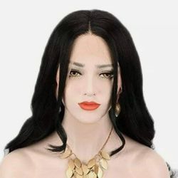 Black 24 Inch Lace Front Wig