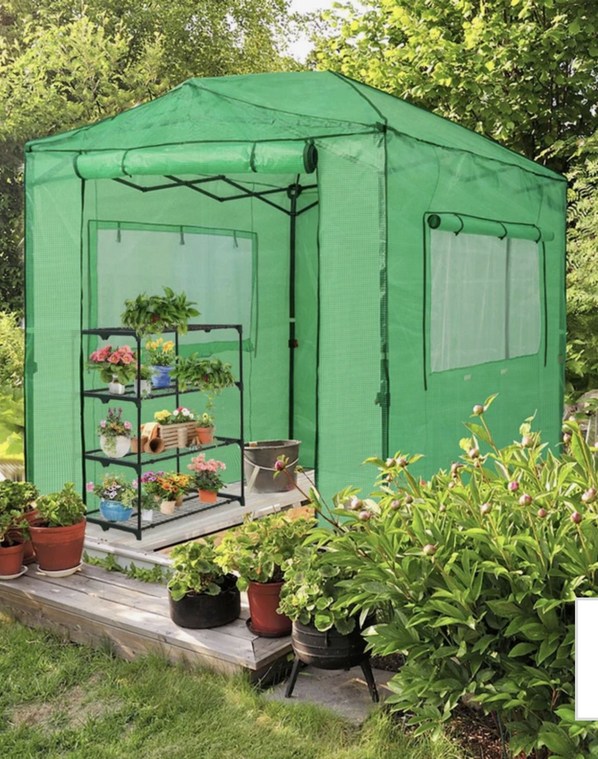 Walk In Greenhouse