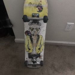 Skate Board