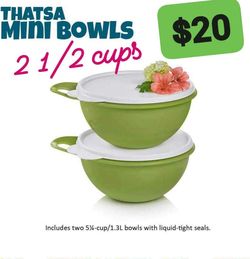 Tupperware Bowls 6 Cups 