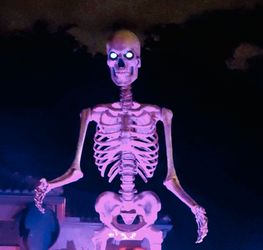 must go!! 12 ft Skeleton Halloween Skelly complete & working plus original box