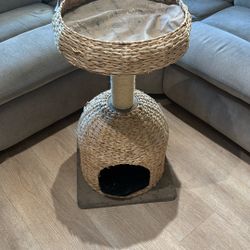 Cat House