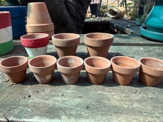Mini terracotta pots