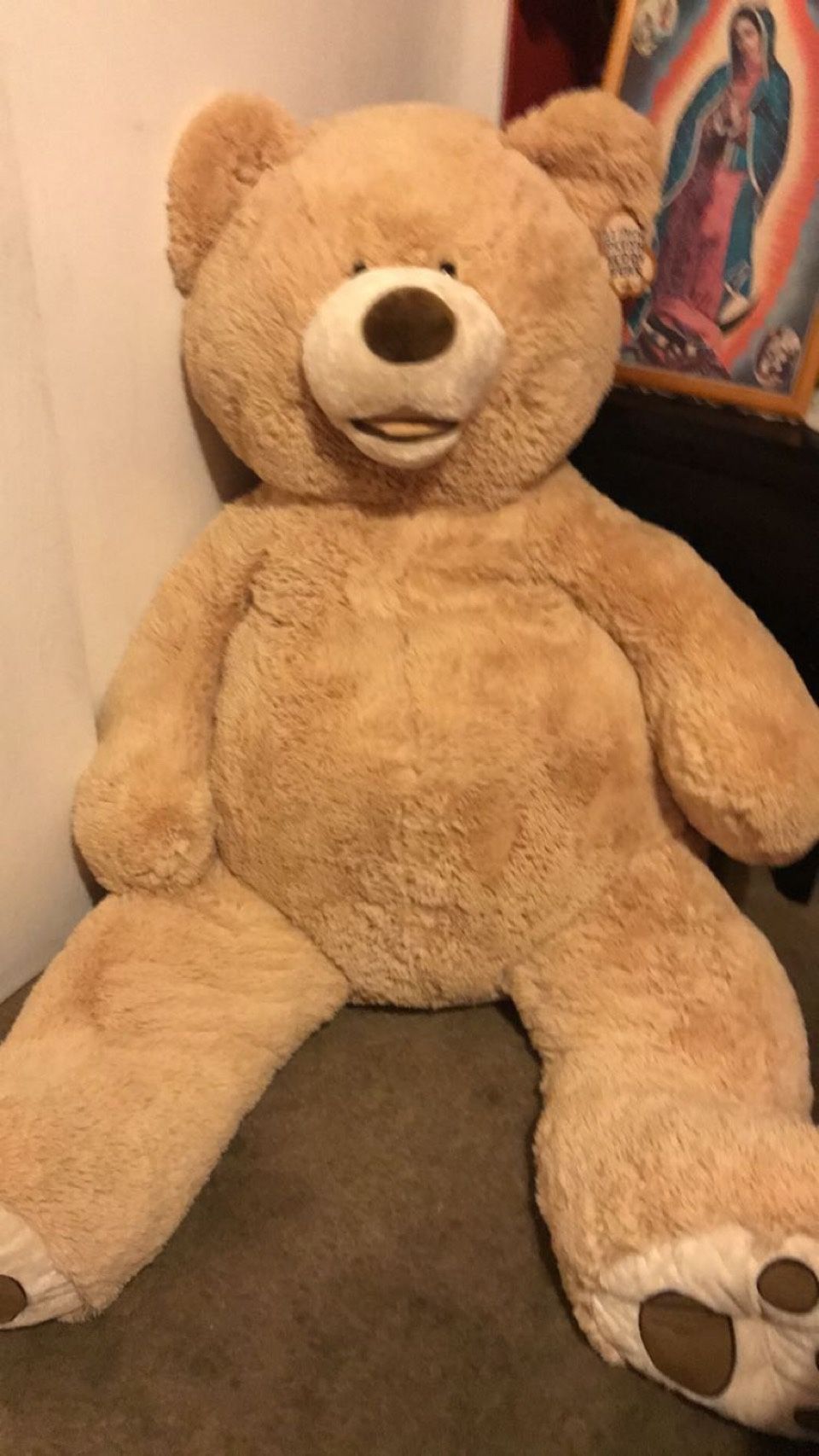 Brand New Teddy Bear