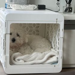 Kindtail White Collapsible Small Crate With Cushion 
