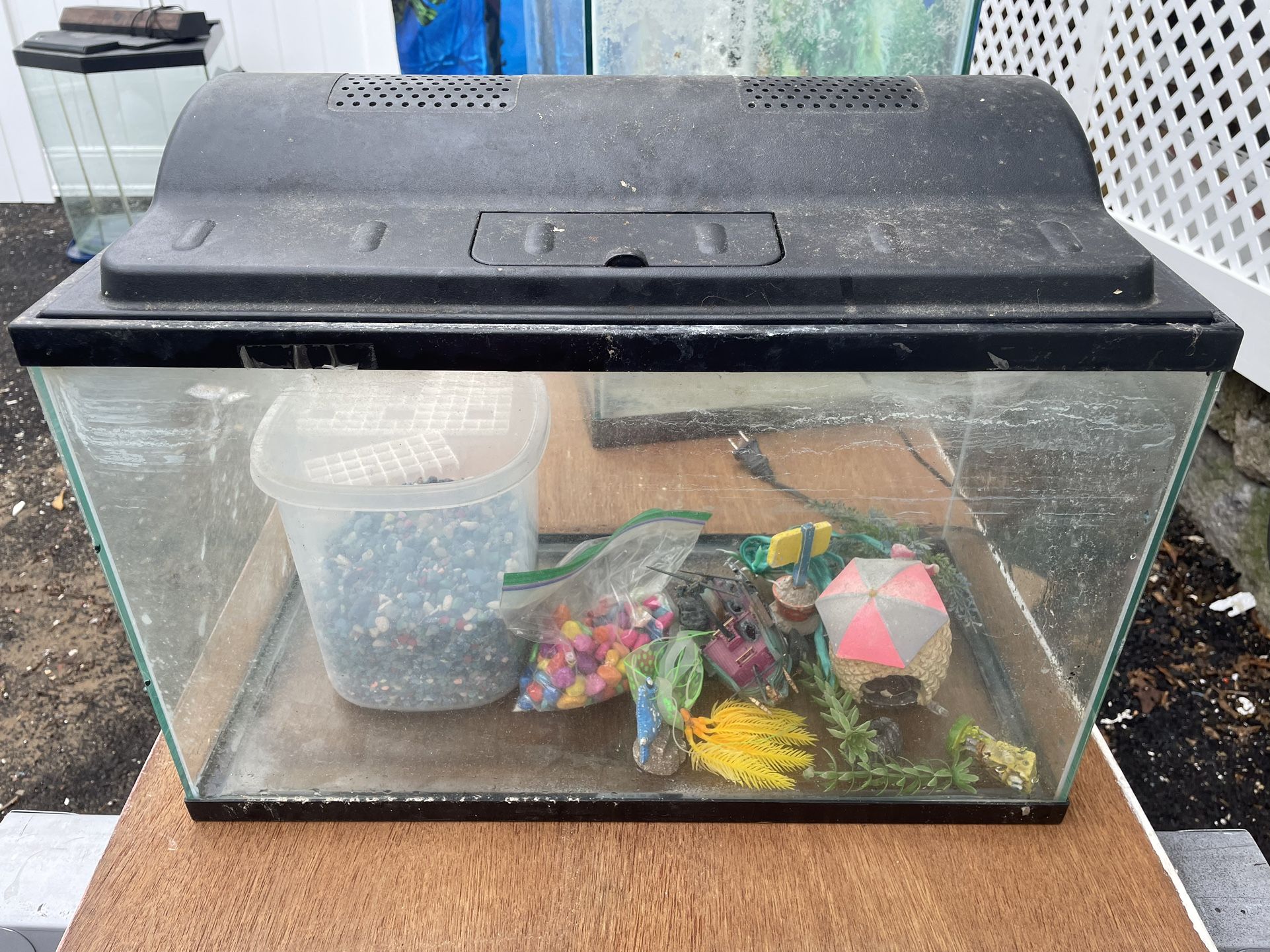 10 Gallons 