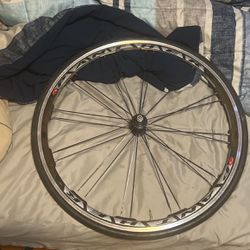 Fixie Panther Front Wheel Need Gone ASAP‼️