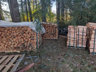 For and pine mix