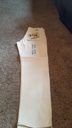 Nwt Authentic Dungaree Painter Paints Size 33/34
