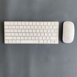 Apple Magic Keyboard + Magic Mouse 2 Bundle – Excellent Condition, Works Great!