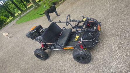 Go-kart 15 horsepower 50 mph