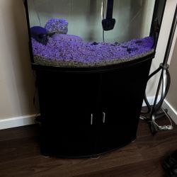 Marine land 25 Gallon Fish Tank