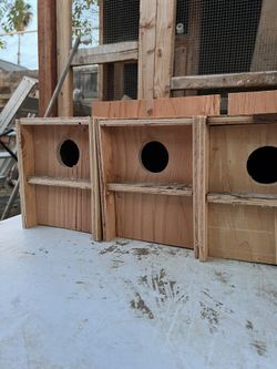 Lovebird nestbox