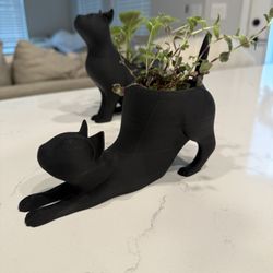 Black Cat Plant Holders