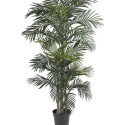 6.5ft Artificial Golden Cane Palm Tree (selling 2 of them)