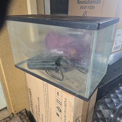 Fish Tank 10"×12×20