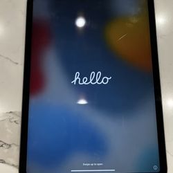 iPad Pro