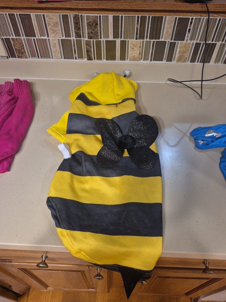 Dog Halloween Bumble Costume & Sweaters For Girl Dog