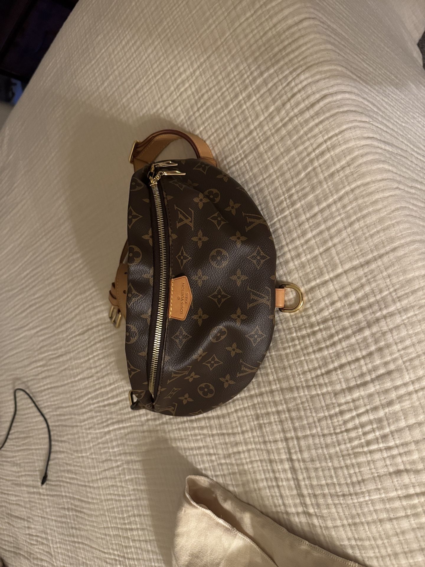 Louis Vuitton monogram brown belt bag