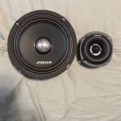Prv Pro Audio 6.5”s & Tweeters