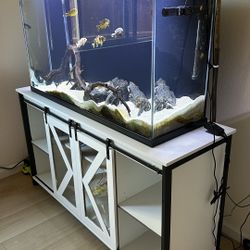 75 Gallon Aquarium With Stand