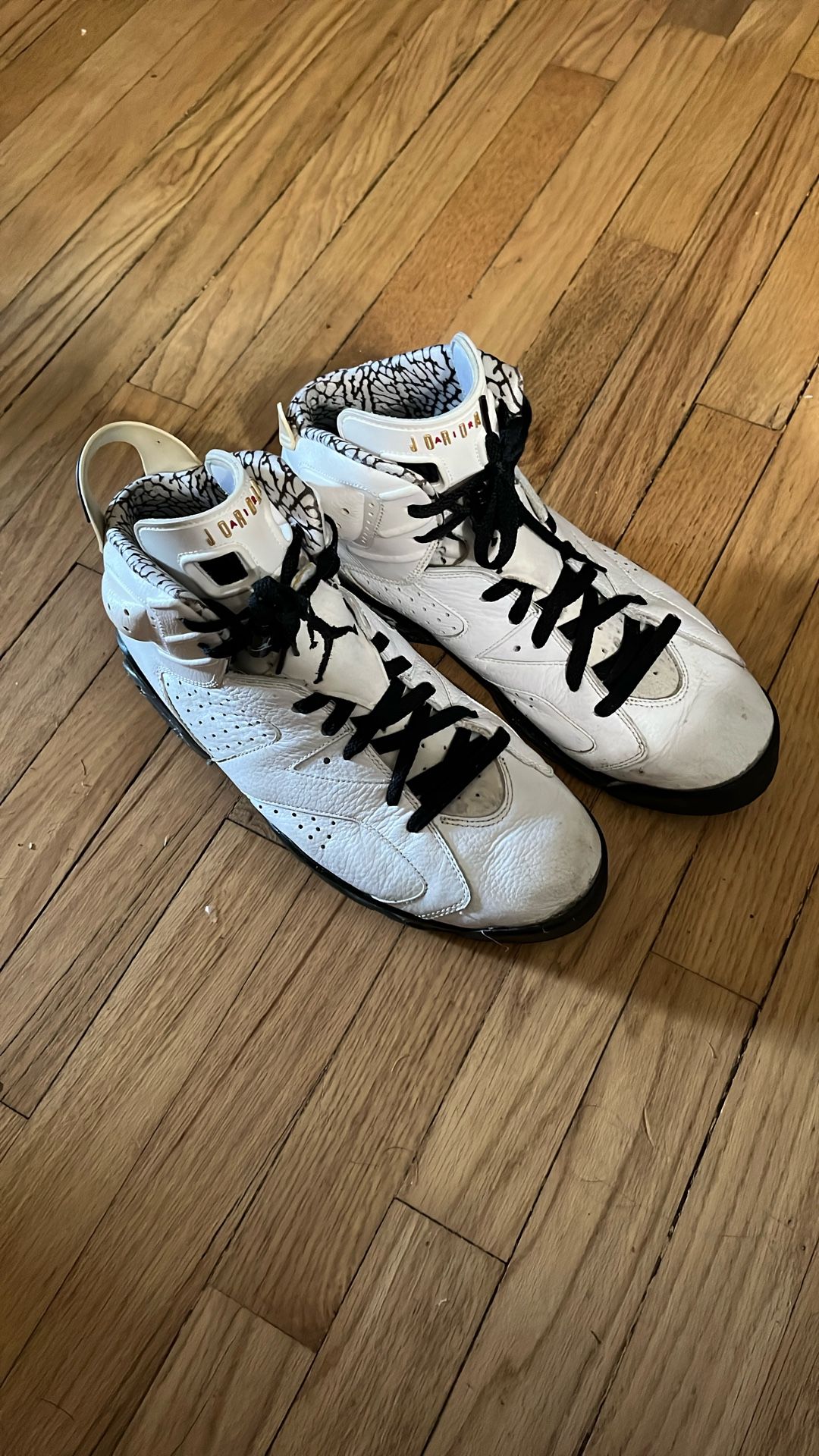 Jordan 6 Retro Premium Motorsport