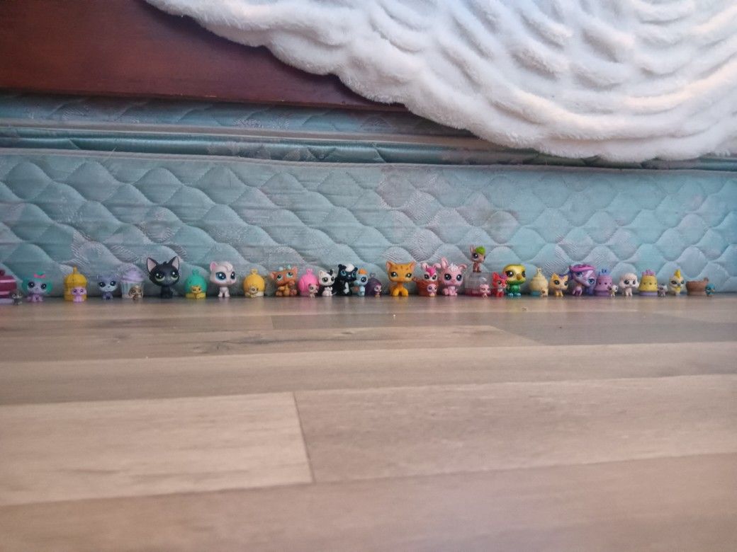 Littlest Pet Shop