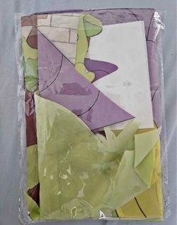Disney Rapunzel Decoration