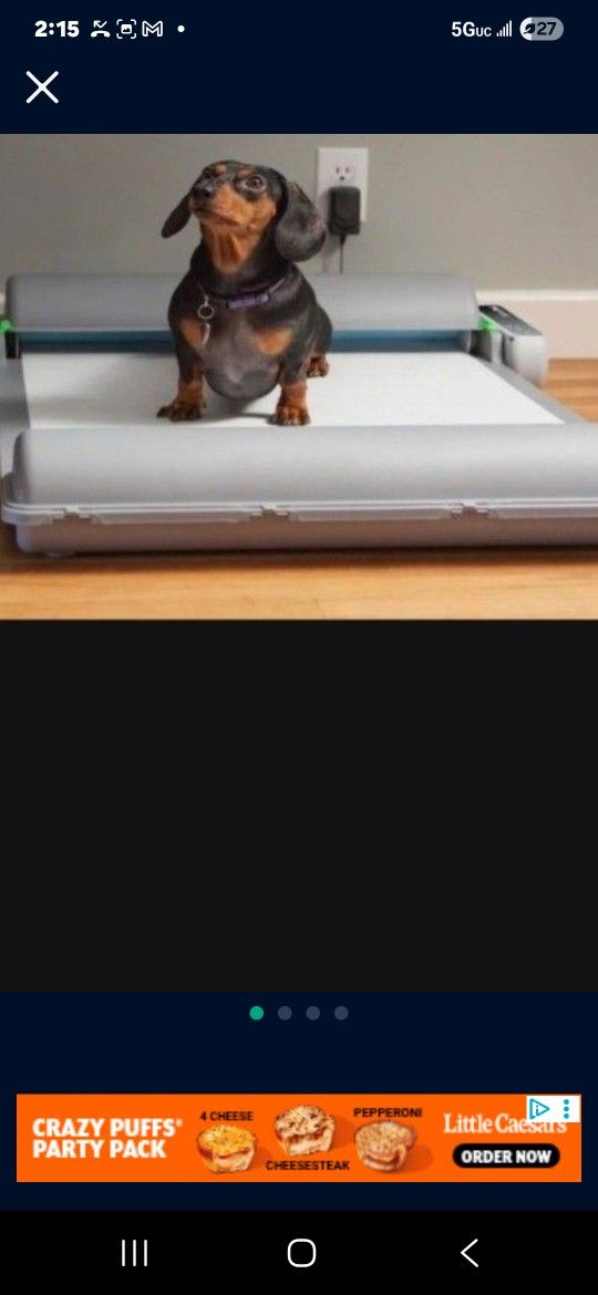Brilliant Pad Puppy Pad