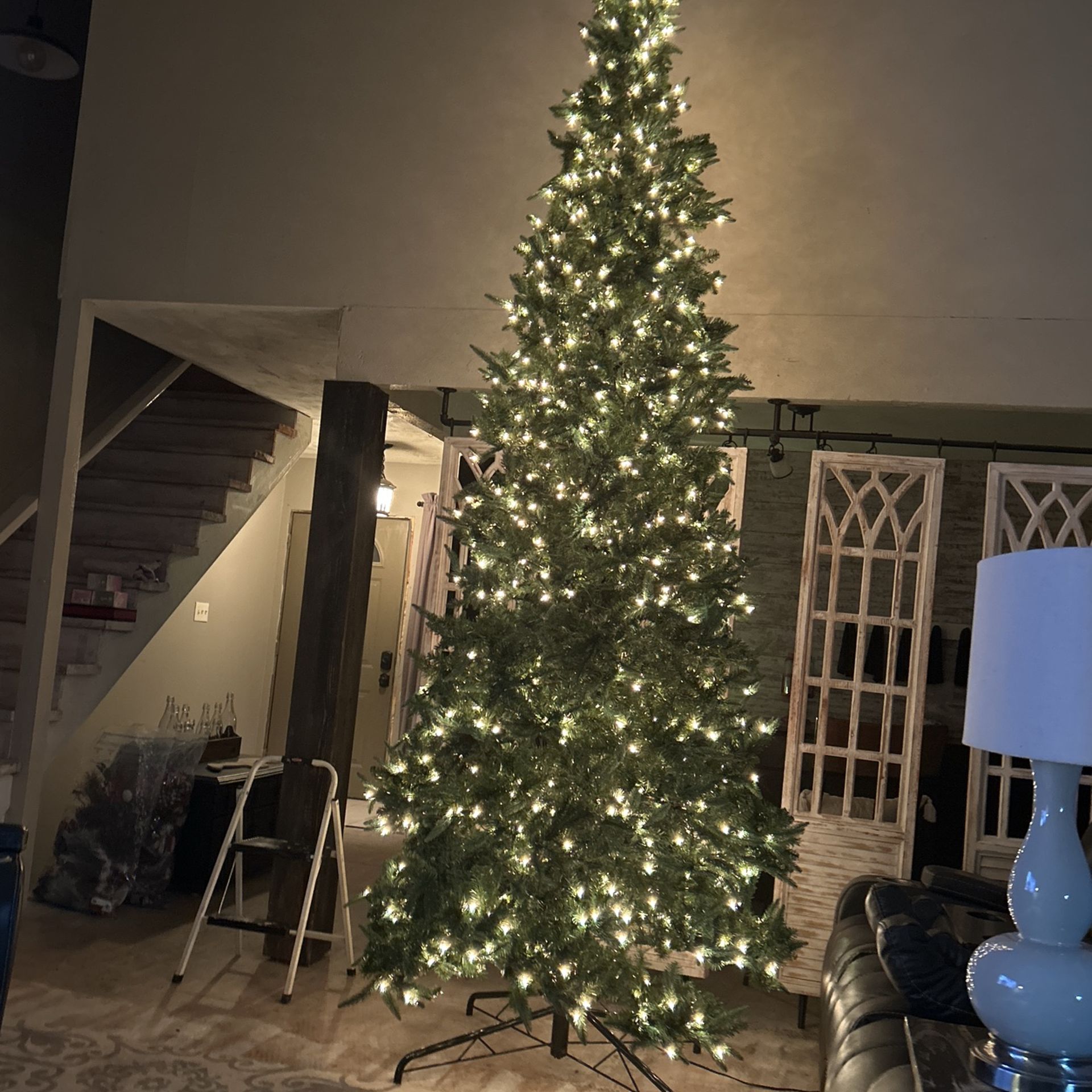 12 Foot Tree.   Come Get It Free